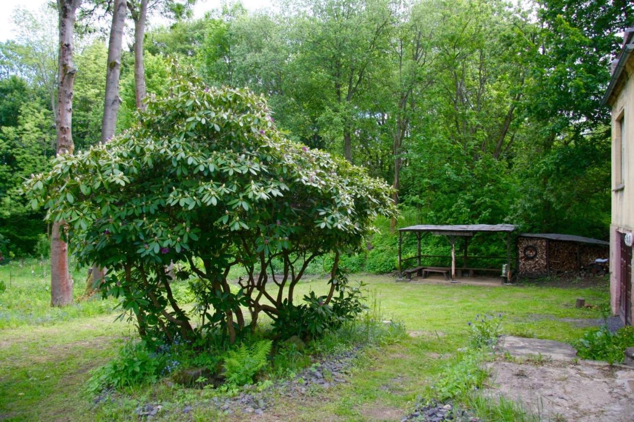 Villa Sunshine / Slunecna Vila Krásná Lípa Eksteriør bilde