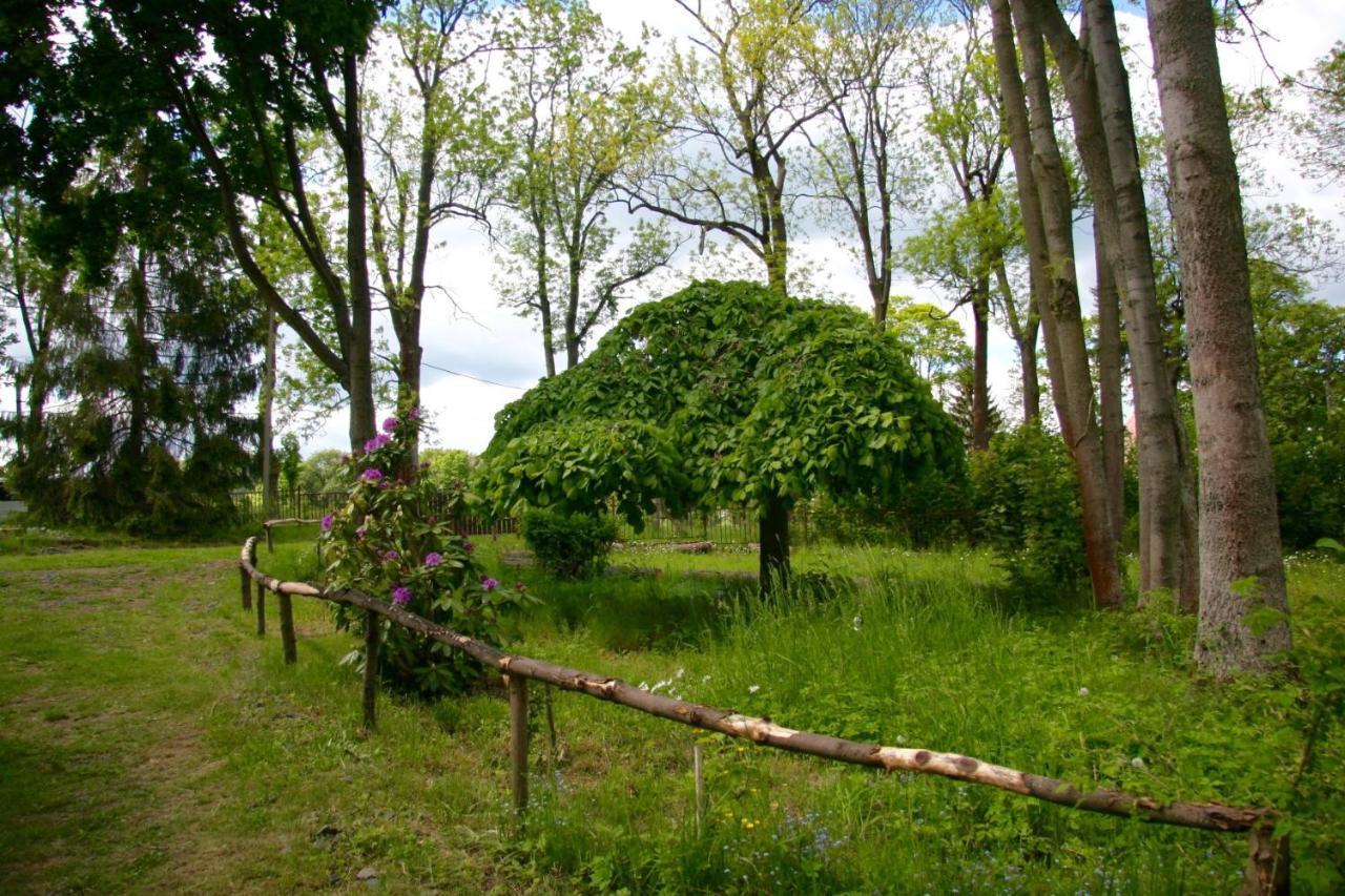 Villa Sunshine / Slunecna Vila Krásná Lípa Eksteriør bilde